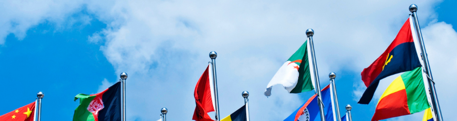 Unveiling the Colorful Narratives: Understanding the Symbolism of Country Flags
