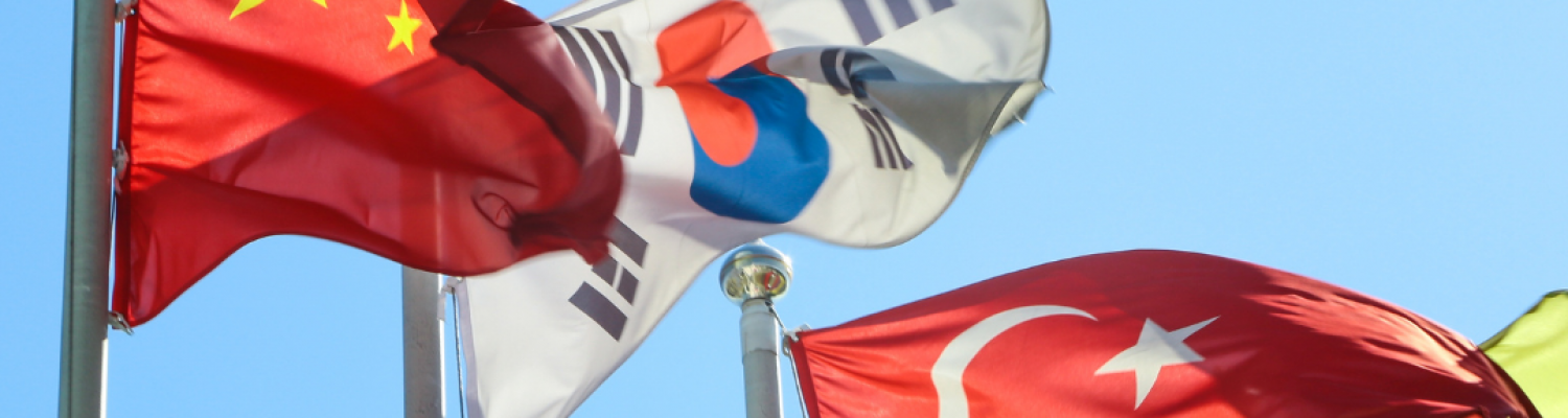 Waving History: Country Flags as Reflections of National Identity