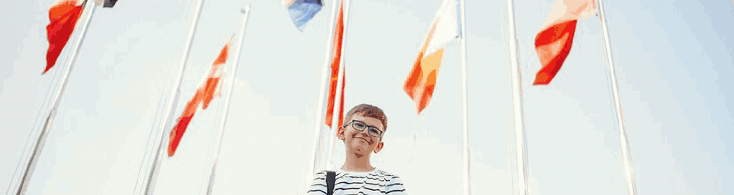 Flagging Change: How Flags Adapt to Shifting Societal Values