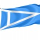 Argentine Vexillological Association Flag for Indoor & Outdoor Use - Imagine 1