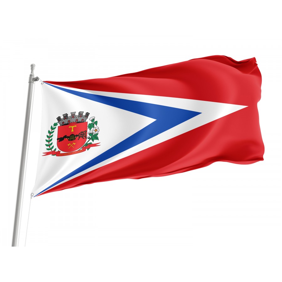 Americana Flag for Indoor & Outdoor Use, BRAZIL--11