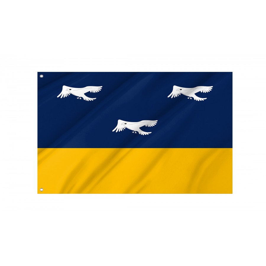 Flag of Arapongas, Patriotic Flags, Unique Design Print, Flags for Indoor & Outdoor Use