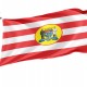 Blumenau Flag for Indoor & Outdoor Use - Imagine 1