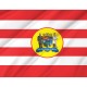 Blumenau Flag for Indoor & Outdoor Use - Imagine 2