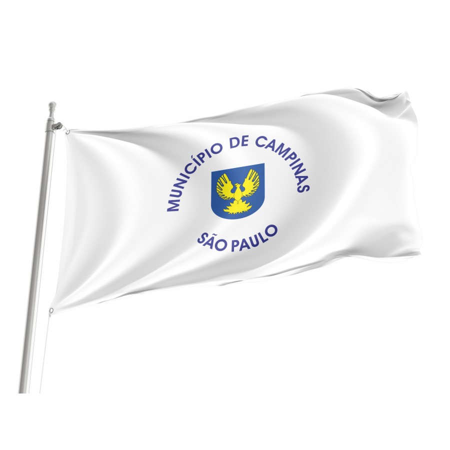 Flag Campinas City, São Paulo, Flag 3x5 outdoor - Flags for outside, Unique Design Print, Double Seams, Bright Colours, Reinforced Fabric, Size - 3x5Ft / 90x150cm, Garden flags