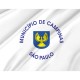 Flag of Campinas City, São Paulo, Patriotic Flags, Unique Design Print, Flags for Indoor & Outdoor Use - Imagine 2