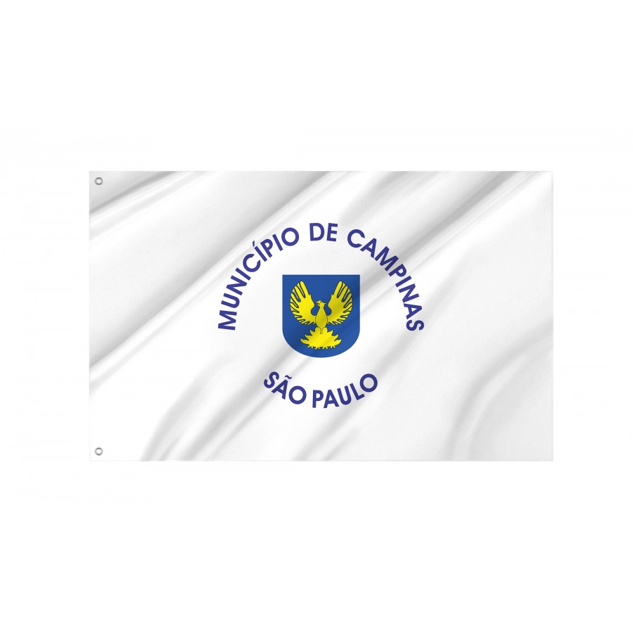 Flag Campinas City, São Paulo, Flag 3x5 outdoor - Flags for outside, Unique Design Print, Double Seams, Bright Colours, Reinforced Fabric, Size - 3x5Ft / 90x150cm, Garden flags
