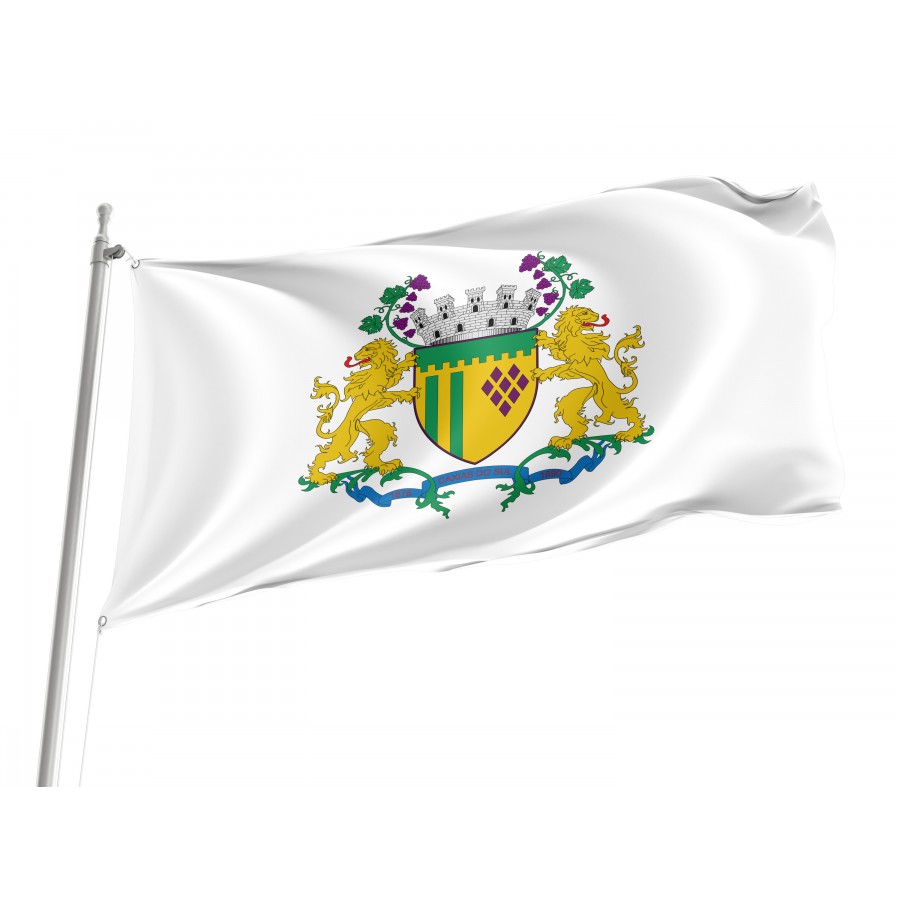Flag Caxias do Sul, Flag 3x5 outdoor - Flags for outside, Unique Design Print, Double Seams, Bright Colours, Reinforced Fabric, Size - 3x5Ft / 90x150cm, Garden flags