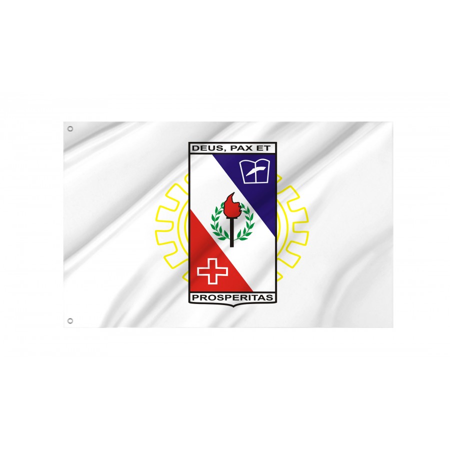 Flag Coronel Fabriciano, Minas Gerais, Flag 3x5 outdoor - Flags for outside, Unique Design Print, Double Seams, Bright Colours, Reinforced Fabric, Size - 3x5Ft / 90x150cm, Garden flags