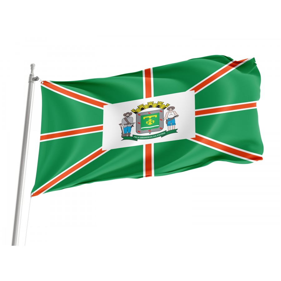 Flag Goiânia, Goiás, Flag 3x5 outdoor - Flags for outside, Unique Design Print, Double Seams, Bright Colours, Reinforced Fabric, Size - 3x5Ft / 90x150cm, Garden flags