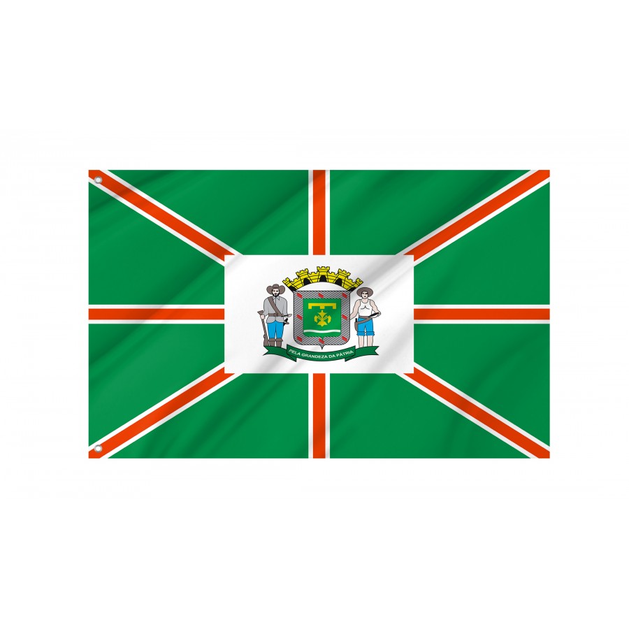 Flag Goiânia, Goiás, Flag 3x5 outdoor - Flags for outside, Unique Design Print, Double Seams, Bright Colours, Reinforced Fabric, Size - 3x5Ft / 90x150cm, Garden flags