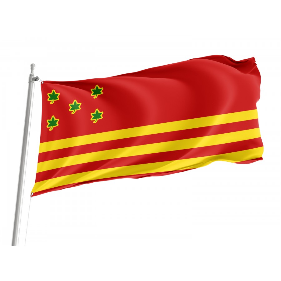 Flag of Ilhéus, Bahia, Patriotic Flags, Unique Design Print, Flags for Indoor & Outdoor Use