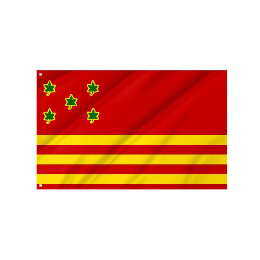 Flag of Ilhéus, Bahia, Patriotic Flags, Unique Design Print, Flags for Indoor & Outdoor Use