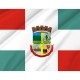 Flag of Jaraguá do Sul, State Santa Catarina, Patriotic Flags, Unique Design Print, Flags for Indoor & Outdoor Use - Imagine 2
