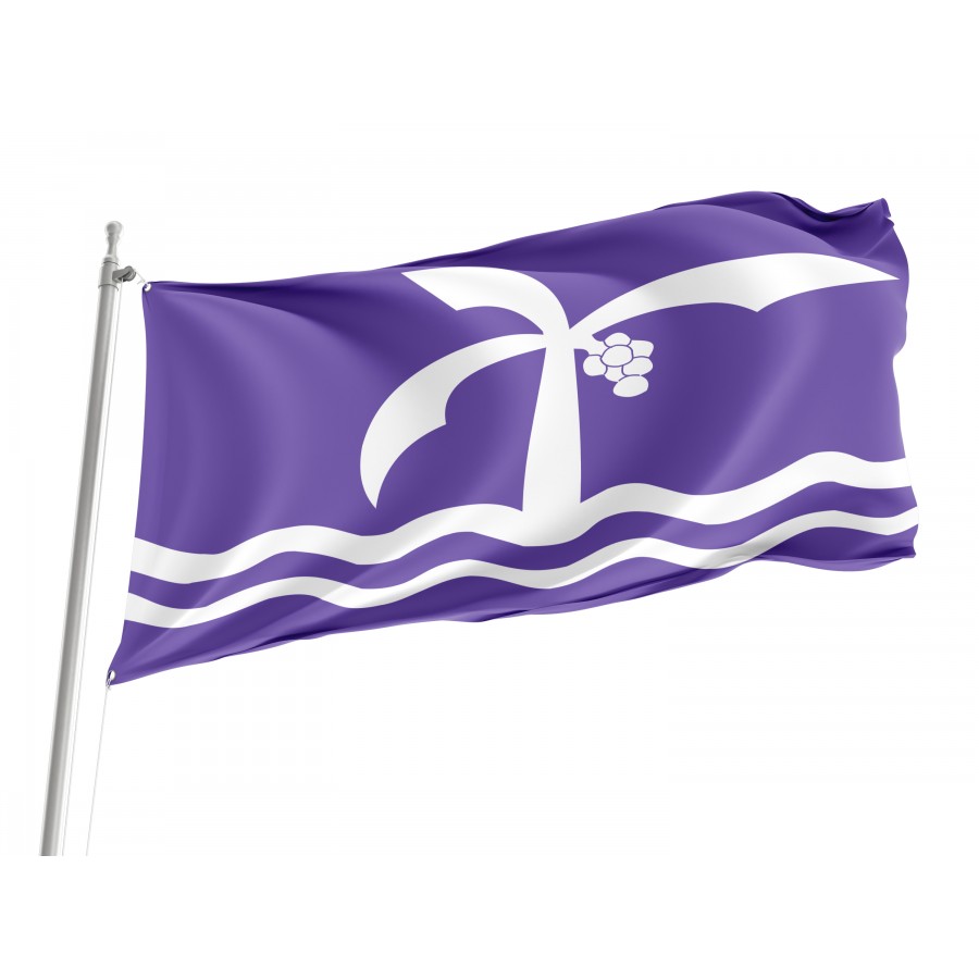 Flag Macae, State Rio de Janeiro, Flag 3x5 outdoor - Flags for outside, Unique Design Print, Double Seams, Bright Colours, Reinforced Fabric, Size - 3x5Ft / 90x150cm, Garden flags