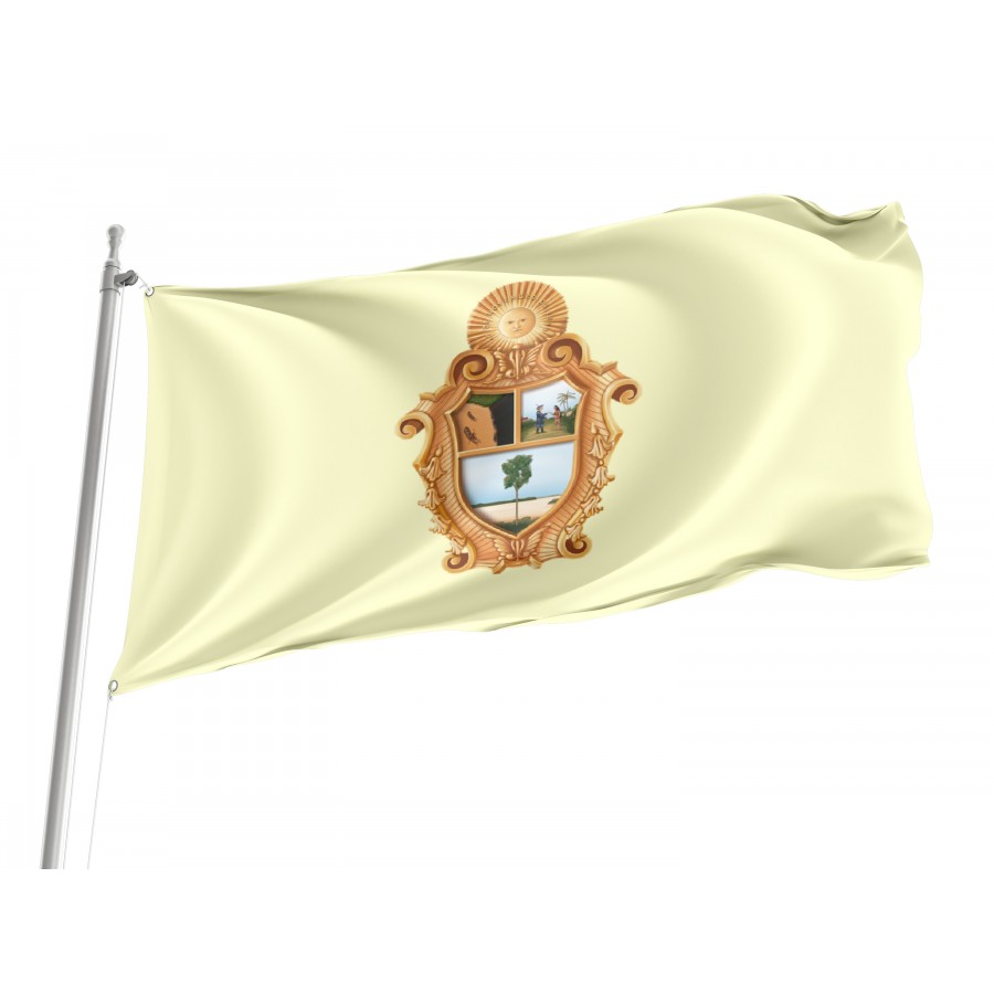 Flag Manaus, State Amazonas, Flag 3x5 outdoor - Flags for outside, Unique Design Print, Double Seams, Bright Colours, Reinforced Fabric, Size - 3x5Ft / 90x150cm, Garden flags