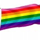 Flag of LGBTQ Rainbow Gay Pride, Unique Design Print, Flags for Indoor & Outdoor Use - Imagine 1