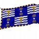 Brisbane Flag for Indoor & Outdoor Use - Imagine 1