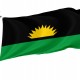 Republic of Benin Flag for Indoor & Outdoor Use - Imagine 1