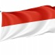 Tarija Flag for Indoor & Outdoor Use - Imagine 1