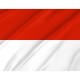 Tarija Flag for Indoor & Outdoor Use - Imagine 2
