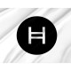 Hedera (HBAR) Flag, Unique Design Print - Imagine 2