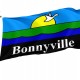Bonnyville Flag for Indoor & Outdoor Use - Imagine 1