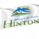 Hinton Flag for Indoor & Outdoor Use - Imagine 1