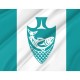 Musqueam Flag for Indoor & Outdoor Use - Imagine 2