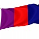 Ottawa 1902-1987 Flag for Indoor & Outdoor Use - Imagine 1