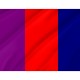Ottawa 1902-1987 Flag for Indoor & Outdoor Use - Imagine 2