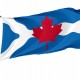 Ottawa-Carleton, Ontario Flag for Indoor & Outdoor Use - Imagine 1
