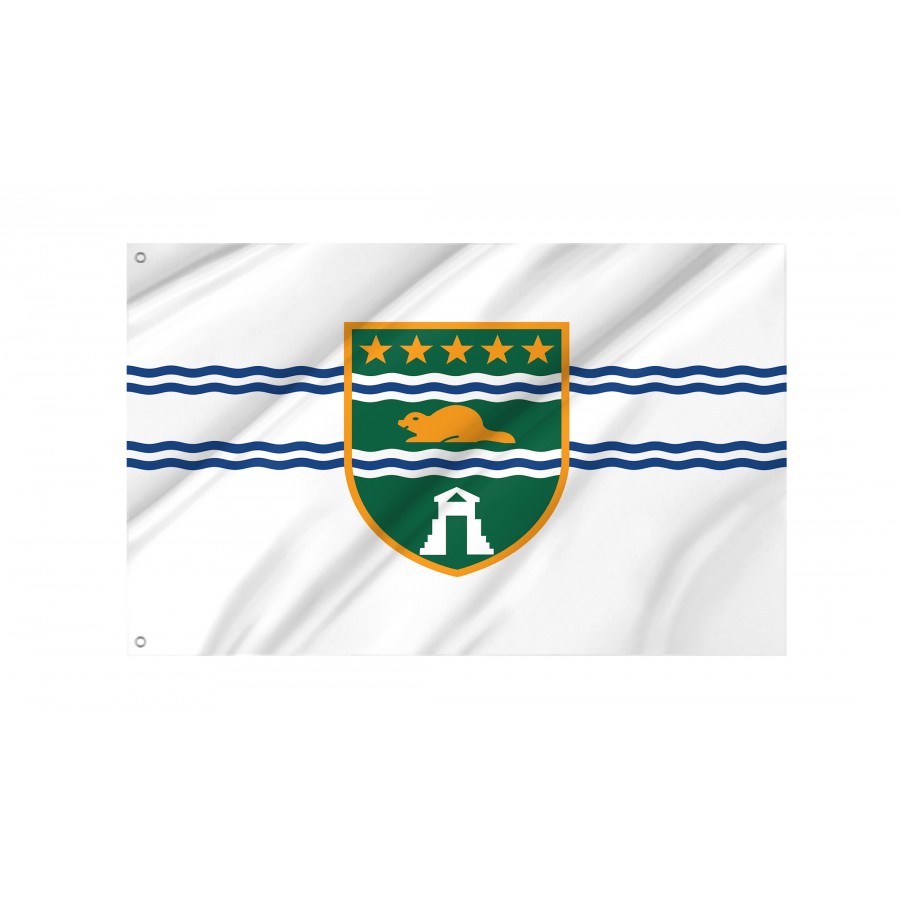 Flag of Surrey, British Columbia, Patriotic Flags, Unique Design Print, Flags for Indoor & Outdoor Use, CA--47