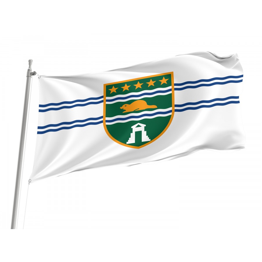 Flag of Surrey, British Columbia, Patriotic Flags, Unique Design Print, Flags for Indoor & Outdoor Use, CA--47