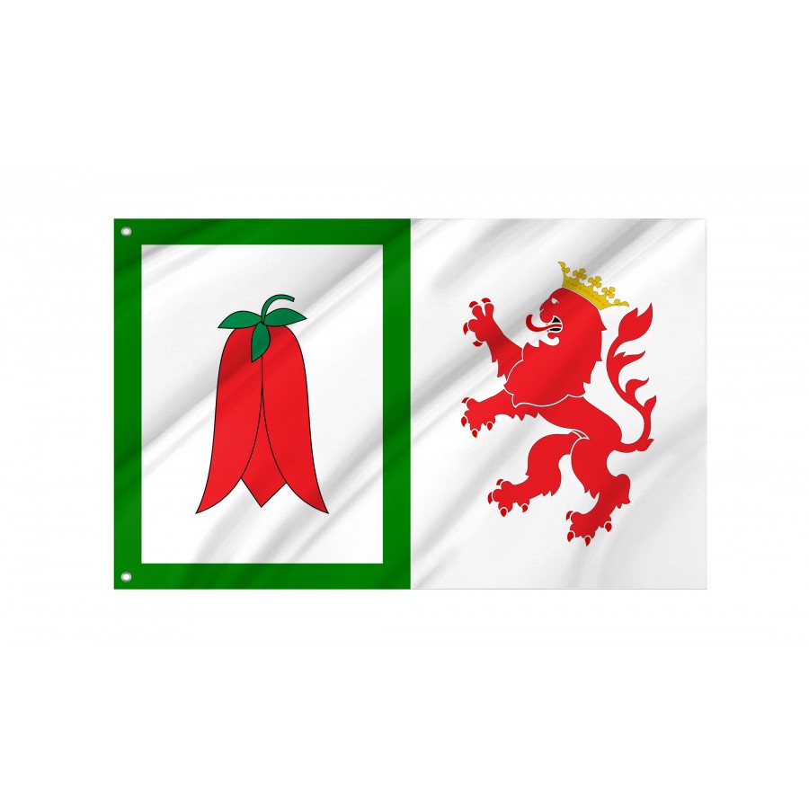Flag of Arauco, Patriotic Flags, Unique Design Print, Flags for Indoor & Outdoor Use