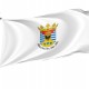 Flag of Biobío Region, Patriotic Flags, Unique Design Print, Flags for Indoor & Outdoor Use - Imagine 1