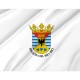 Flag of Biobío Region, Patriotic Flags, Unique Design Print, Flags for Indoor & Outdoor Use - Imagine 2