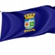 Flag of Coyhaique, Patriotic Flags, Unique Design Print, Flags for Indoor & Outdoor Use - Imagine 1