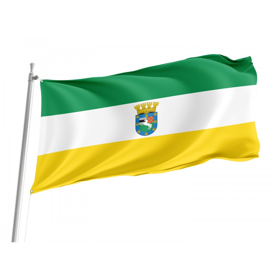 Flag of La Pintana, Patriotic Flags, Unique Design Print, Flags for Indoor & Outdoor Use