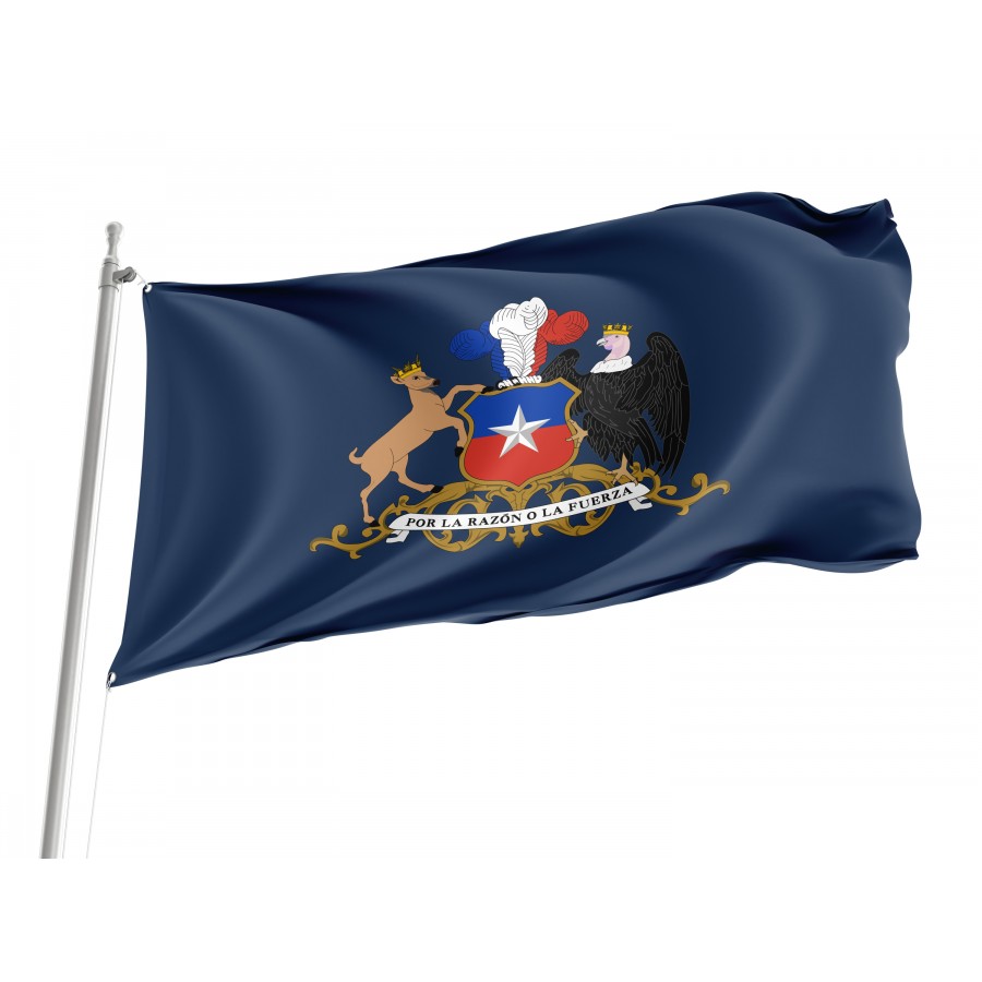 Flag of Minister of Defence of Chile, Patriotic Flags, Unique Design Print, Flags for Indoor & Outdoor Use