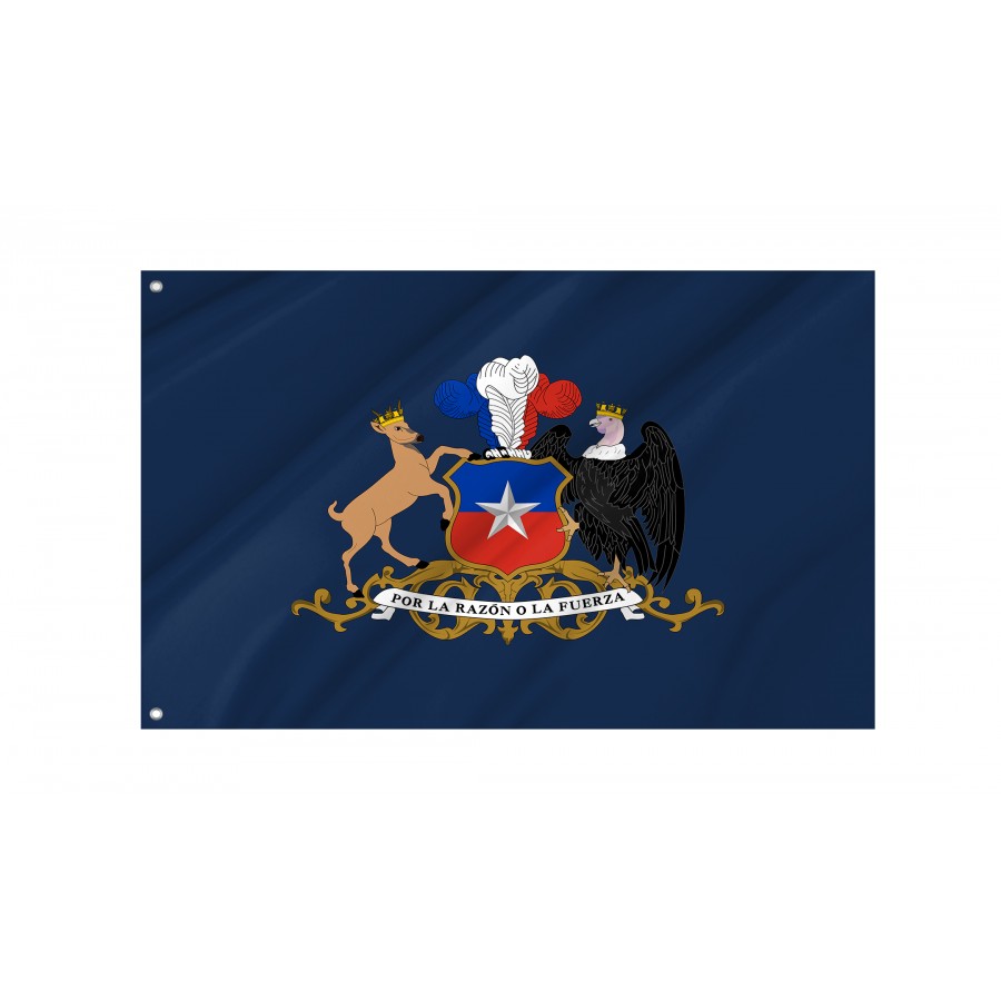 Flag of Minister of Defence of Chile, Patriotic Flags, Unique Design Print, Flags for Indoor & Outdoor Use