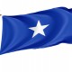 Flag of Naval Jack of Chile, Patriotic Flags, Unique Design Print, Flags for Indoor & Outdoor Use - Imagine 1