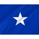 Flag of Naval Jack of Chile, Patriotic Flags, Unique Design Print, Flags for Indoor & Outdoor Use - Imagine 2