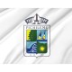 Flag of Pichilemu, Patriotic Flags, Unique Design Print, Flags for Indoor & Outdoor Use - Imagine 2