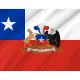 Flag of Presidential flag of the Republic of Chile, Patriotic Flags, Unique Design Print, Flags for Indoor & Outdoor Use - Imagine 2