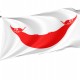 Flag of Rapa NUI, Patriotic Flags, Unique Design Print, Flags for Indoor & Outdoor Use - Imagine 1