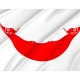 Flag of Rapa NUI, Patriotic Flags, Unique Design Print, Flags for Indoor & Outdoor Use - Imagine 2