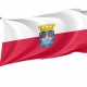 Flag of Renca, Patriotic Flags, Unique Design Print, Flags for Indoor & Outdoor Use - Imagine 1