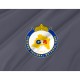 Flag of Santiago Metropolitan Region, Patriotic Flags, Unique Design Print, Flags for Indoor & Outdoor Use - Imagine 2