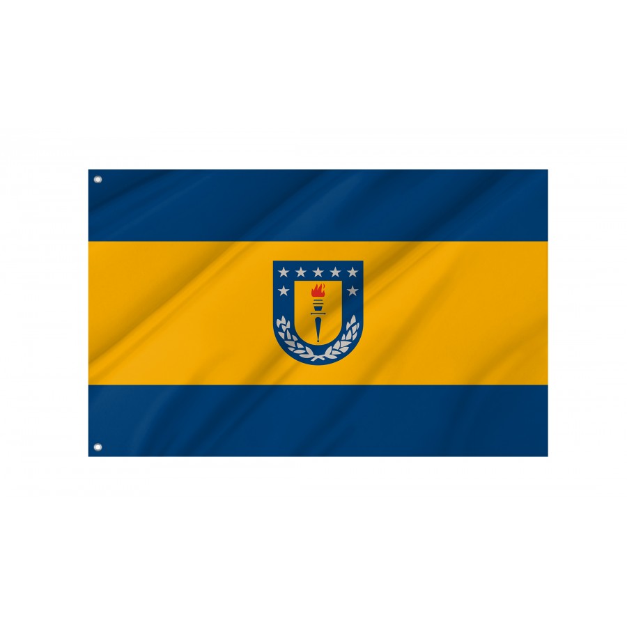 Flag of University of Concepción, Patriotic Flags, Unique Design Print, Flags for Indoor & Outdoor Use